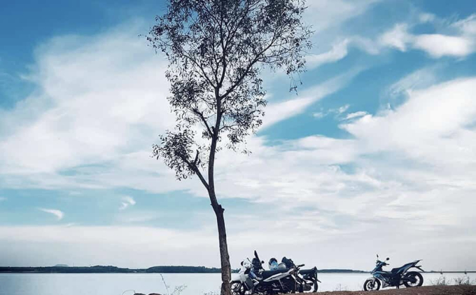 trị4