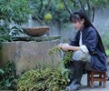 Tiên nữ đồng quê Trung Quốc Lý Tử Thất vướng kiện tụng 
