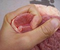 Phần thịt “bẩn” nhất của con lợn nhiều người  mua mà không biết nó chứa nhiều chất độc hại 