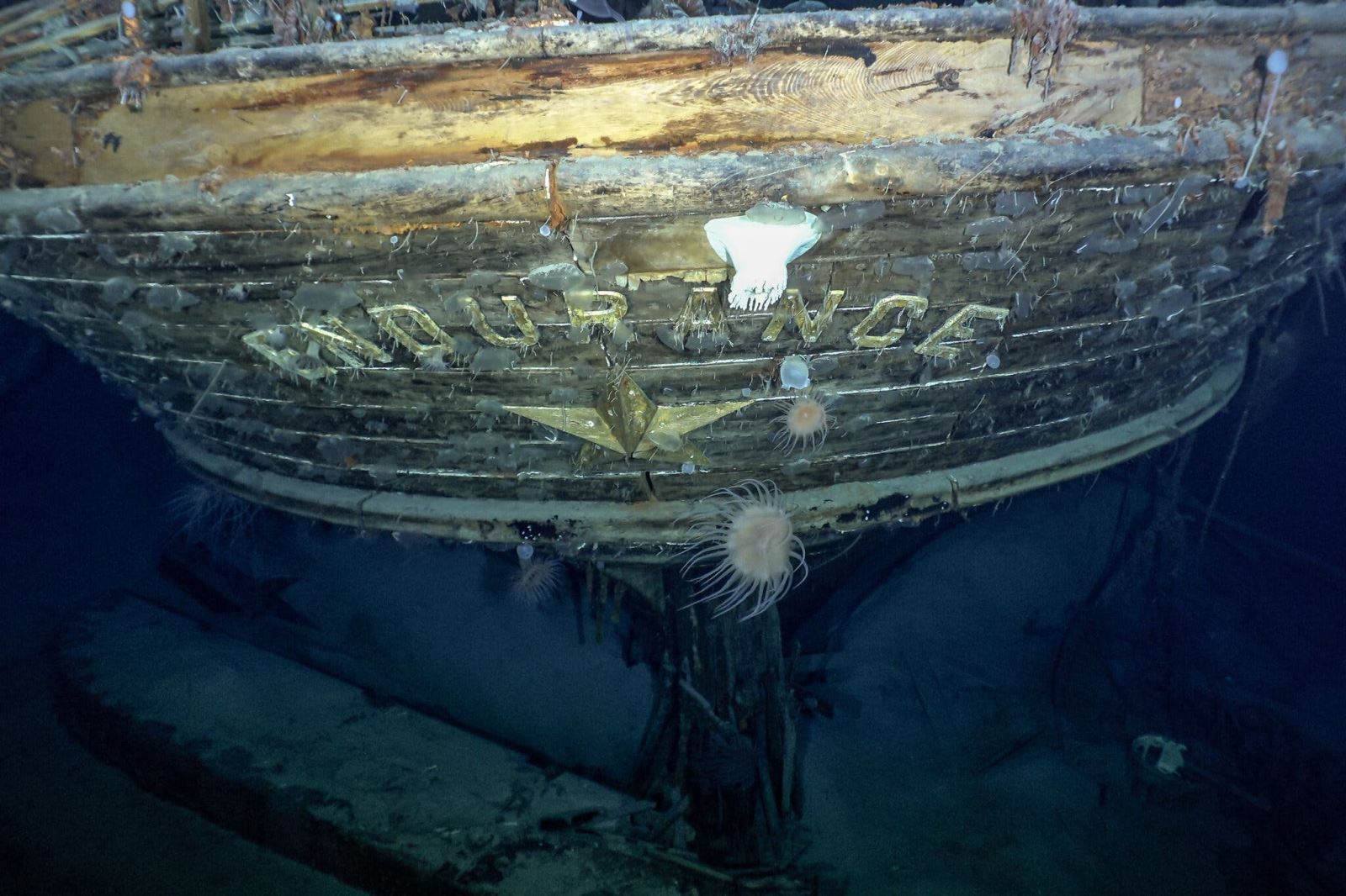 Trải nghiệm tour thăm xác tài Titanic độc đáo cho hội thích khám phá đại dương