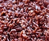 Tác hại khôn lường của việc ăn quá nhiều gạo lứt để giảm cân