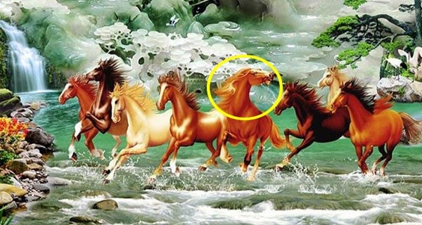Lý giải vì sao trong bức tranh phong thủy Mã đáo thành công luôn có một con ngựa quay đầu lại    