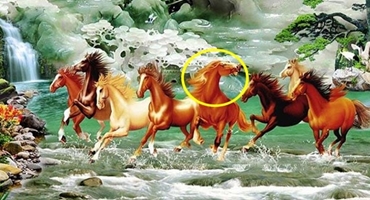 Lý giải vì sao trong bức tranh phong thủy 'Mã đáo thành công' luôn có một con ngựa quay đầu lại?    