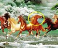 Lý giải vì sao trong bức tranh phong thủy Mã đáo thành công luôn có một con ngựa quay đầu lại     