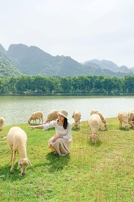 Say mê đồng cừu như khu vườn cổ tích ở Ninh Bình  