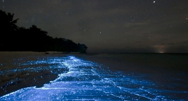 Thích thú bãi biển phát sáng kỳ ảo ở Maldives      