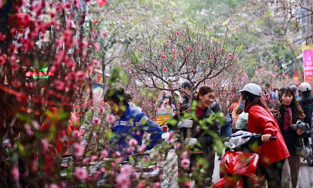Những tuyến đường nào ở Hà Nội bị cấm để mở chợ hoa Tết 2023