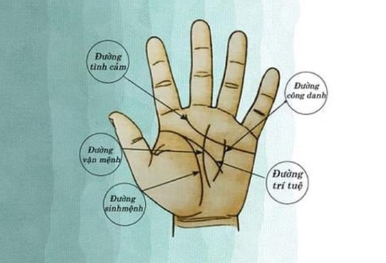 Người mang mệnh Phú Quý trên lòng bàn tay đều có 4 dấu hiệu này có được 14 cả đời không lo thiếu tiền  0932 Thứ hai 06022023  
