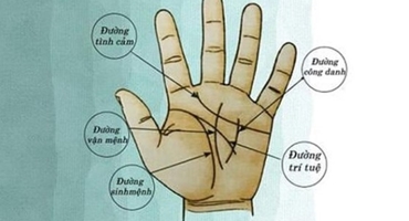 Người mang mệnh Phú Quý trên lòng bàn tay đều có 4 dấu hiệu này, có được 1/4 cả đời không lo thiếu tiền  