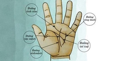 Người mang mệnh Phú Quý trên lòng bàn tay đều có 4 dấu hiệu này, có được 1/4 cả đời không lo thiếu tiền  