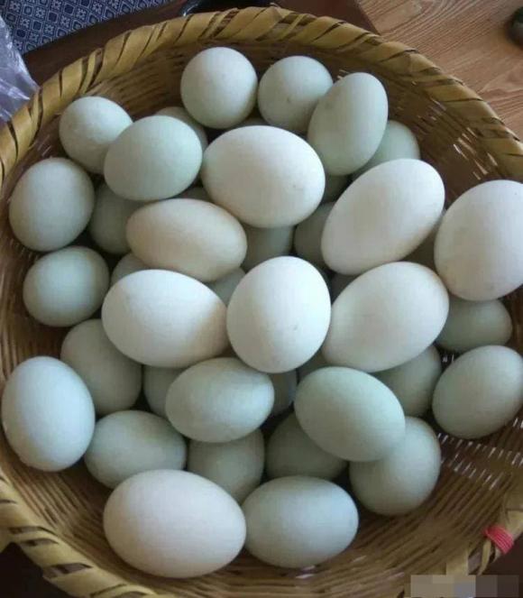 Trứng vịt nên chọn “vỏ trắng” hay “vỏ xanh” Có sự chênh lệch rất lớn nên tìm hiểu trước khi mua  