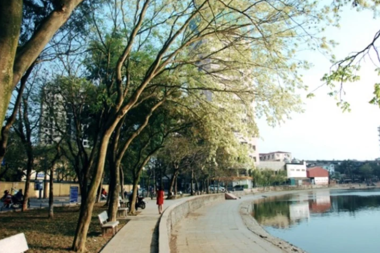 Mách bạn 8 địa điểm lý tưởng để checkin mùa hoa sưa ở Hà Nội   