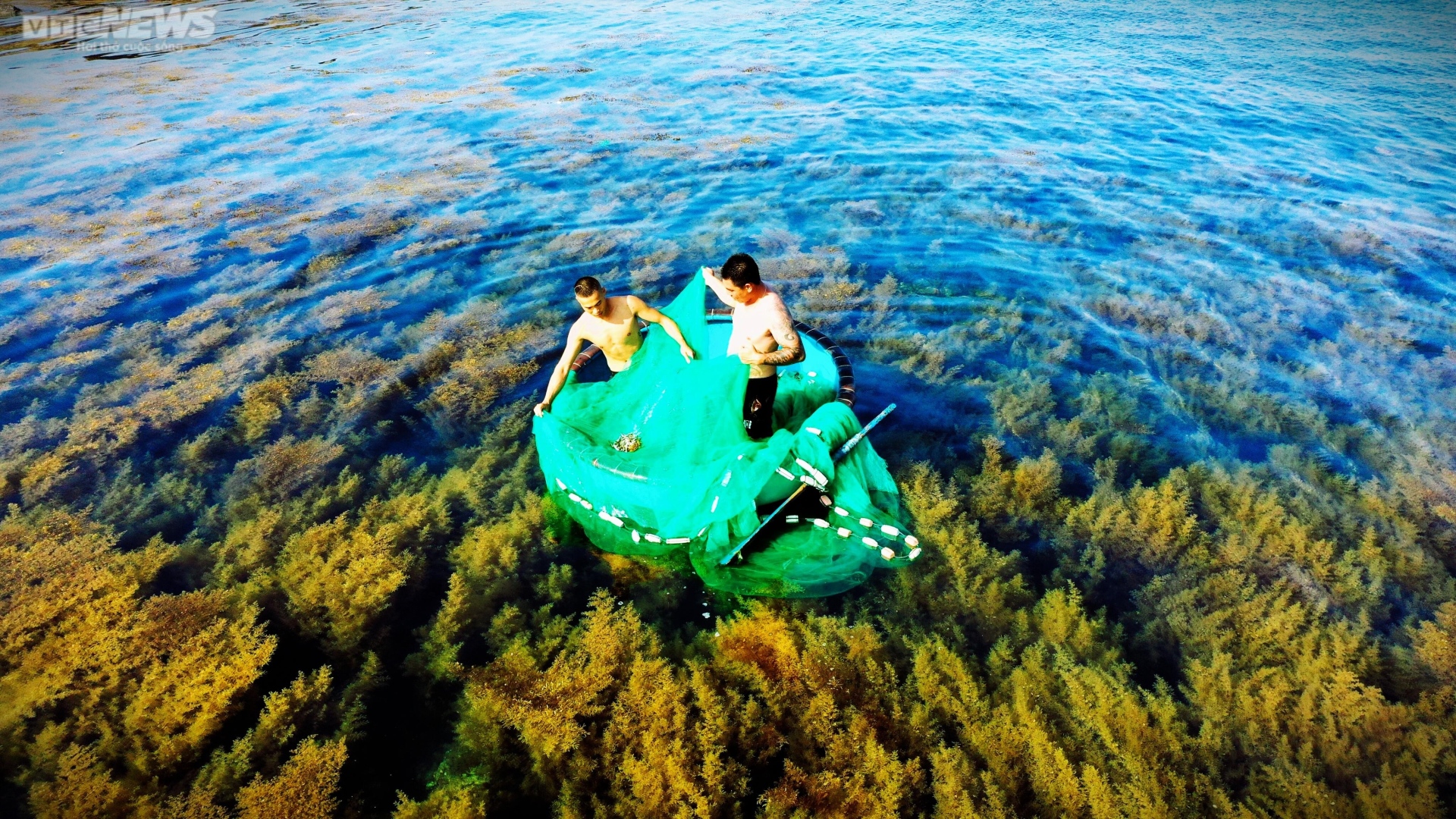 Ngất ngây 'cánh đồng vàng' dưới biển xanh trong ở đảo Hòn Khô, Bình Định - 11