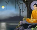 Lời Phật dạy 6 việc làm này tích phúc báu rất tốt kiên trì càng lâu thì phước sẽ càng sâu 