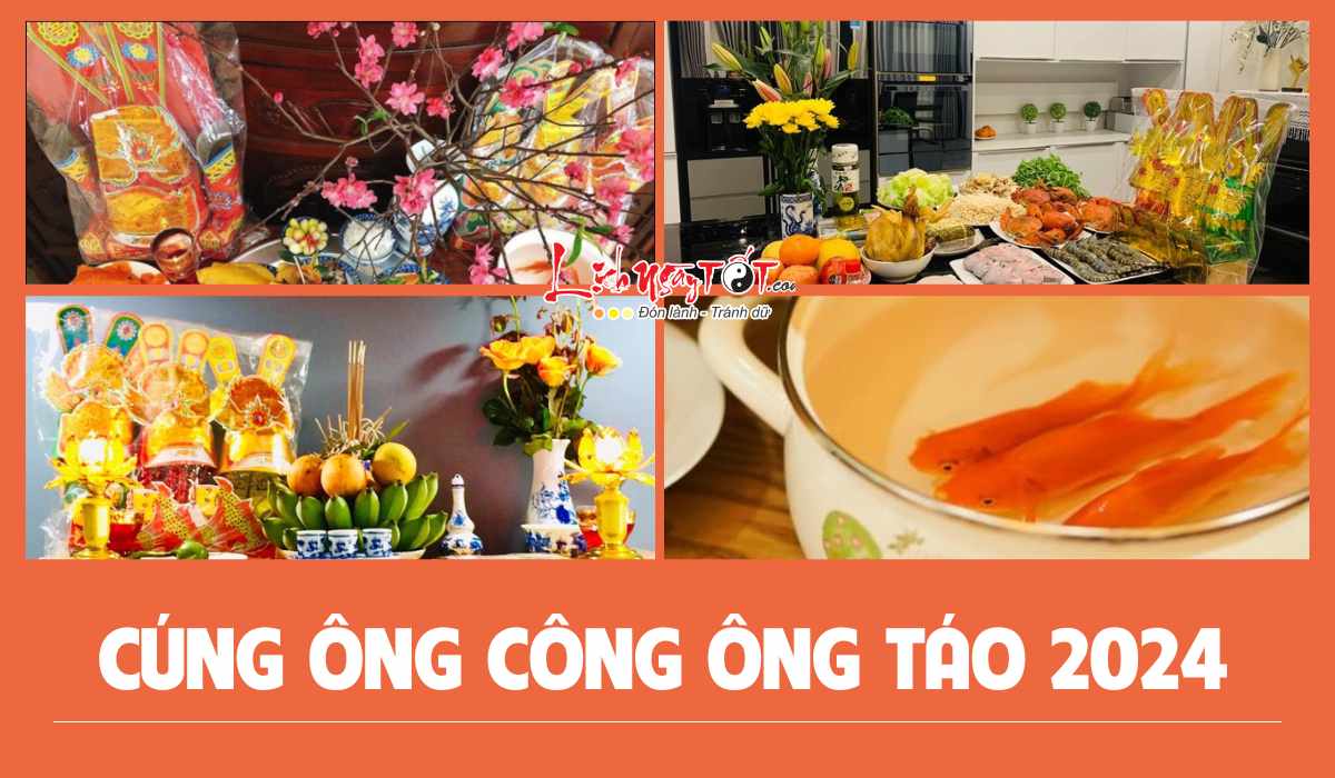 Cung ong Cong ong Tao 2024