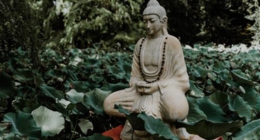 3 điềm lành báo hiệu gia đình có phúc báu theo lời Phật dạy