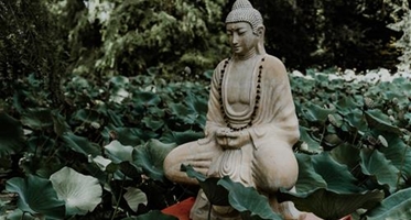 3 điềm lành báo hiệu gia đình có phúc báu theo lời Phật dạy
