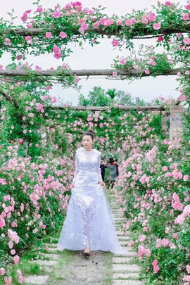 Giới trẻ "hóa thành công chúa" giữa vườn hồng 6.000m2 ở ngoại thành Hà Nội