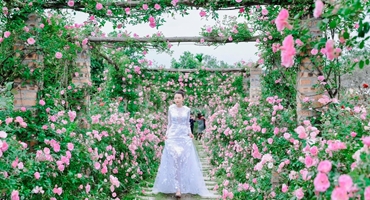 Giới trẻ "hóa thành công chúa" giữa vườn hồng 6.000m2 ở ngoại thành Hà Nội