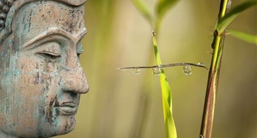 Nếu gặp khó khăn hãy làm theo 3 lời khuyên của Phật
