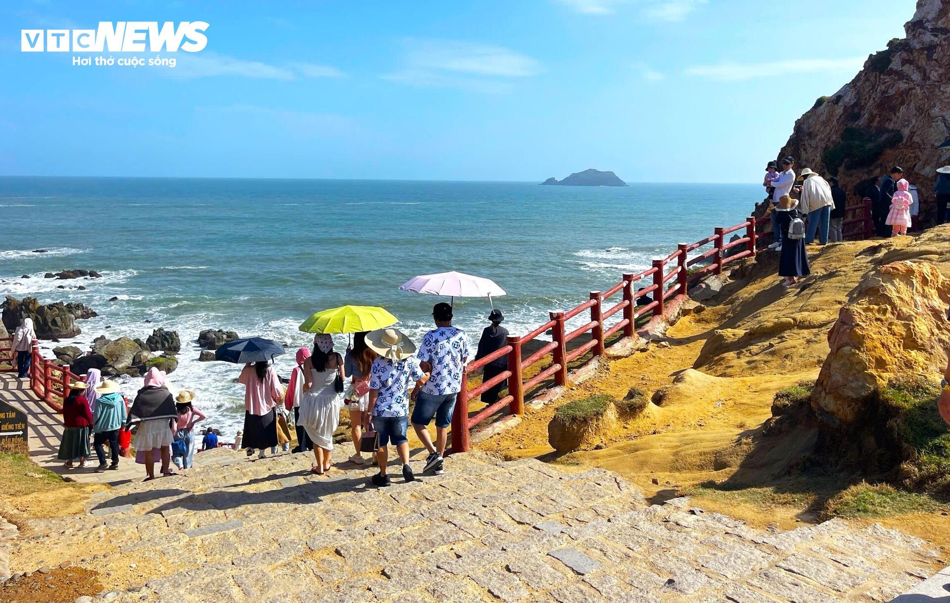 Ngắm rạn san hô ở phố biển Quy Nhơn bung lộc đầu năm - 3