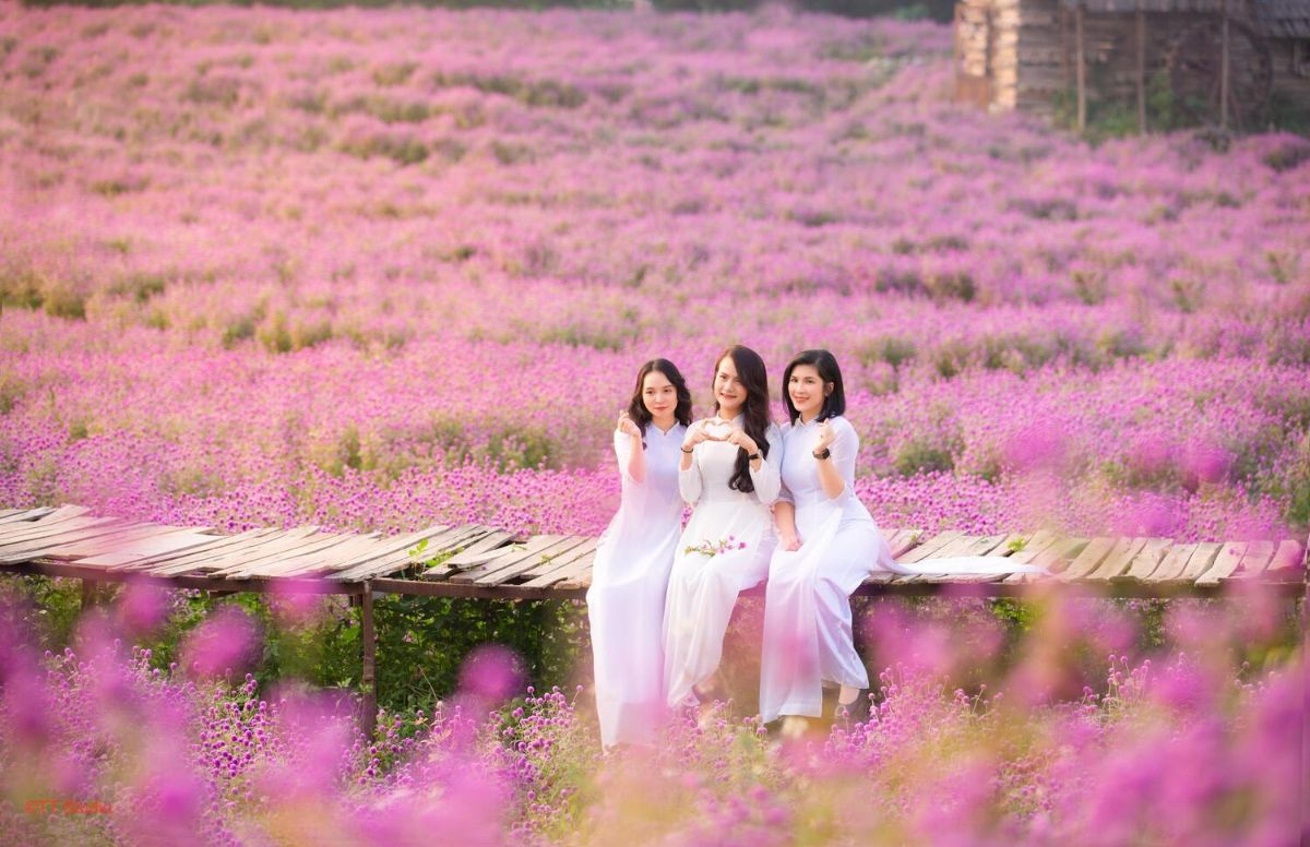 dia-diem-chup-anh-hoa-dep-o-ha-noi-1