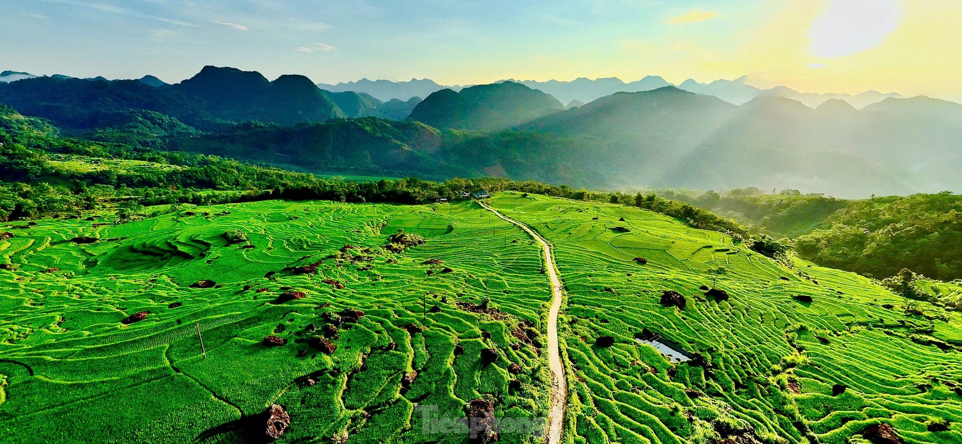Ruộng bậc thang xanh mướt mùa lúa non 'đốn tim' du khách ảnh 1