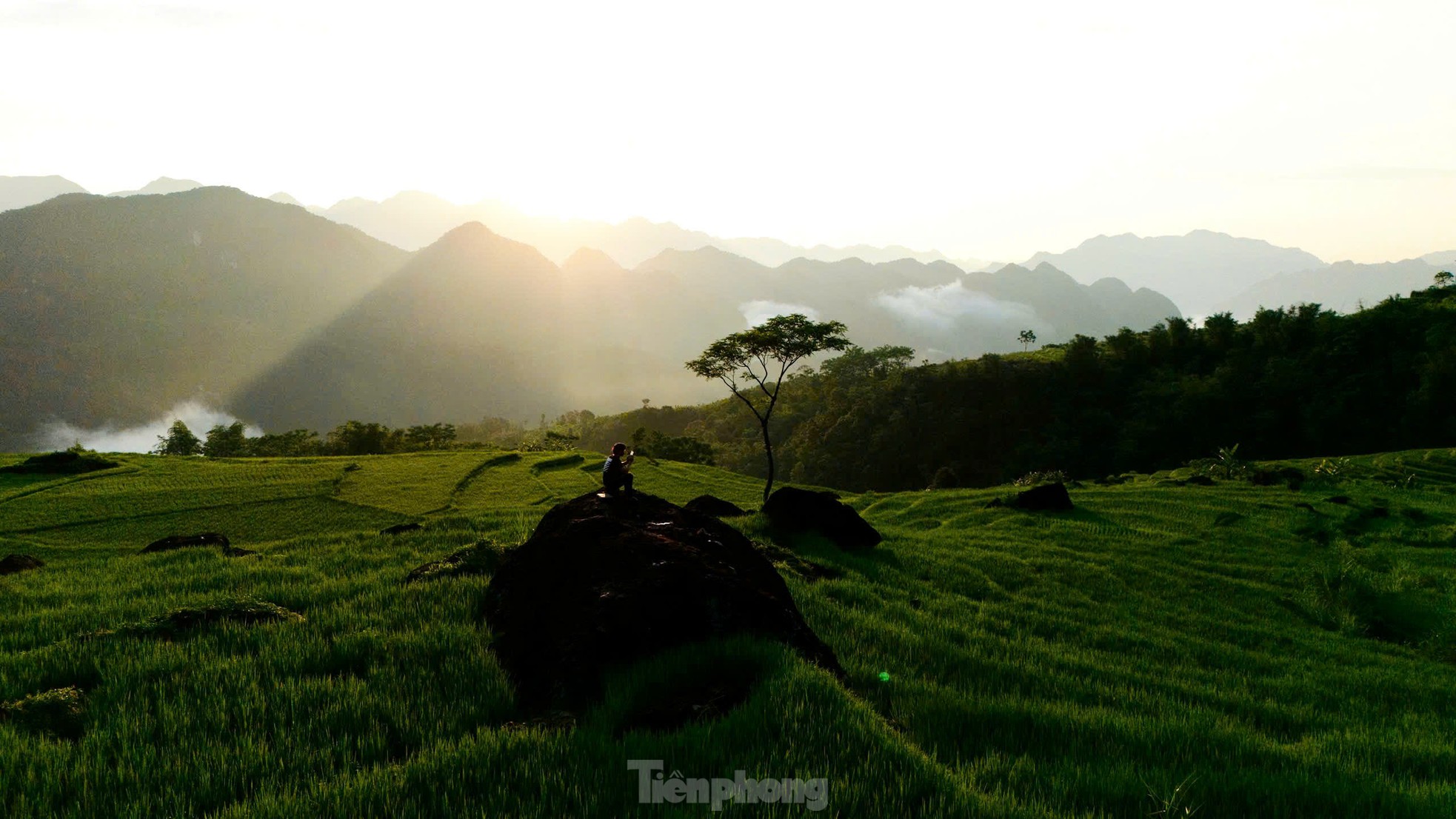 Ruộng bậc thang xanh mướt mùa lúa non 'đốn tim' du khách ảnh 11