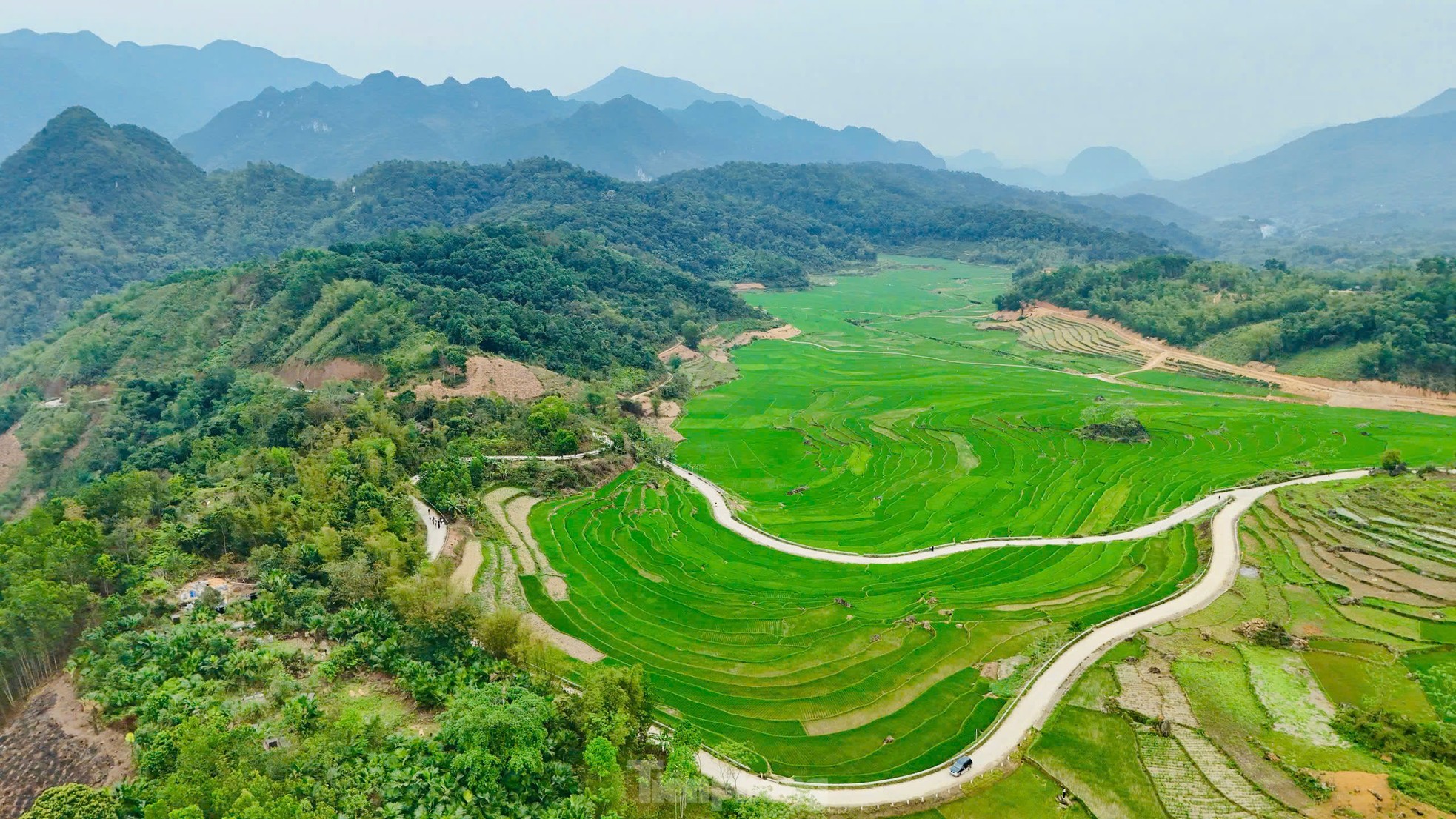 Ruộng bậc thang xanh mướt mùa lúa non 'đốn tim' du khách ảnh 8