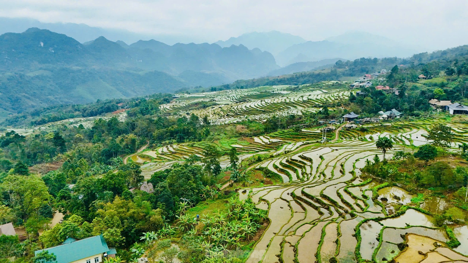 Ruộng bậc thang xanh mướt mùa lúa non 'đốn tim' du khách ảnh 9